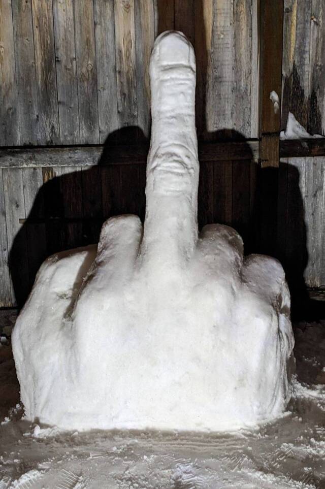 Bildschirmarbeiter - Picdump KW05 2021