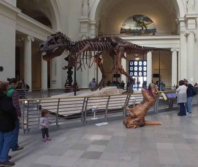 Bildschirmarbeiter - Picdump KW05 2021