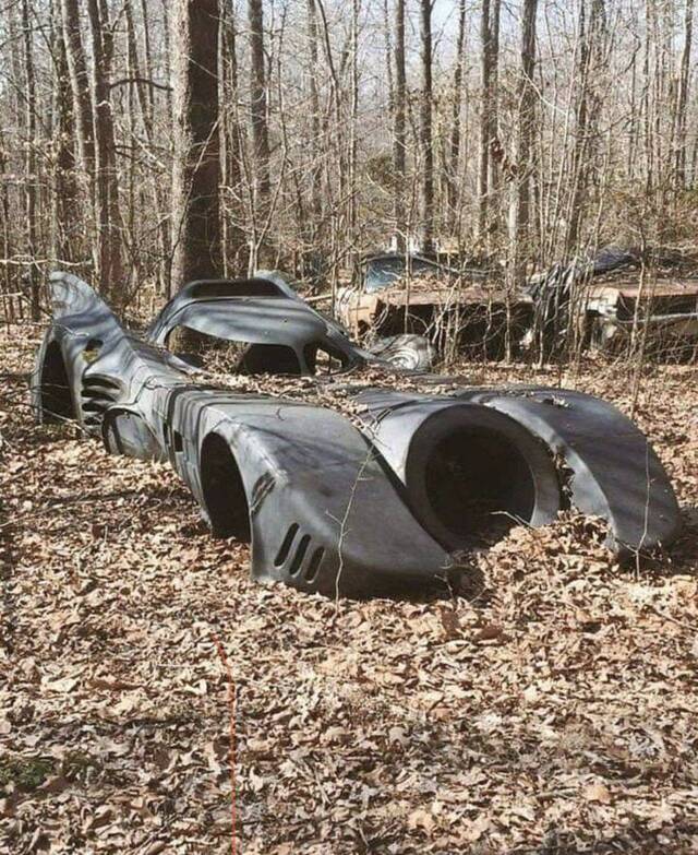 Bildschirmarbeiter - Picdump KW05 2021