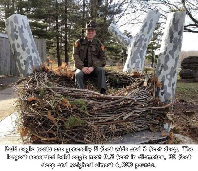 Bildschirmarbeiter - Picdump KW05 2021