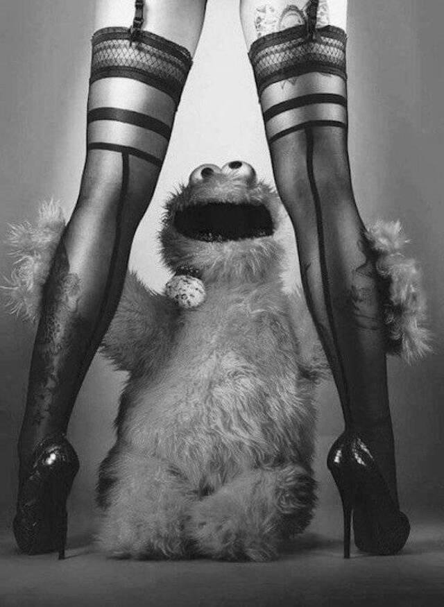 Bildschirmarbeiter - Picdump KW05 2021