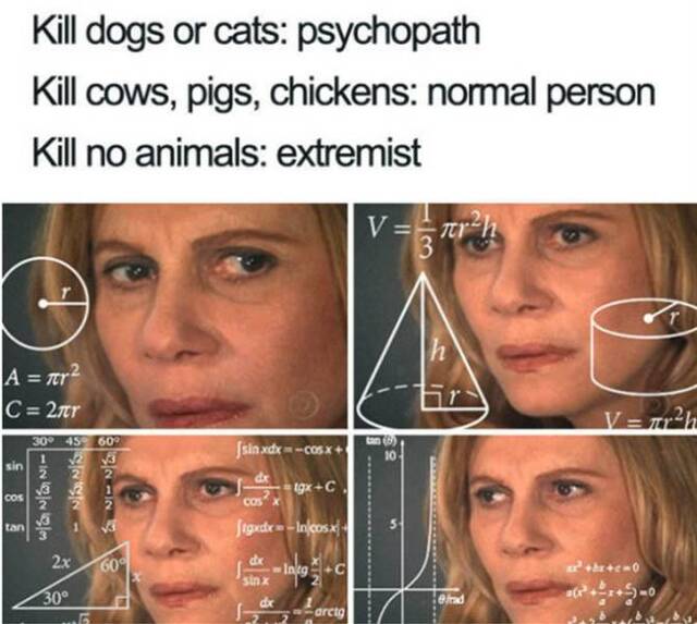 Bildschirmarbeiter - Picdump KW05 2021