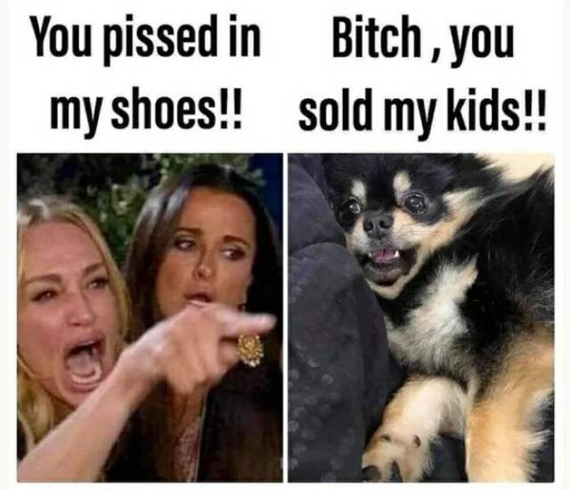 Bildschirmarbeiter - Picdump KW05 2021