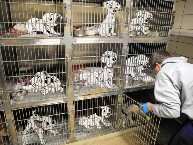 Bildschirmarbeiter - Picdump KW05 2021