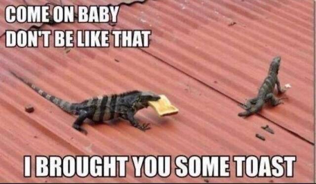 Bildschirmarbeiter - Picdump KW05 2021