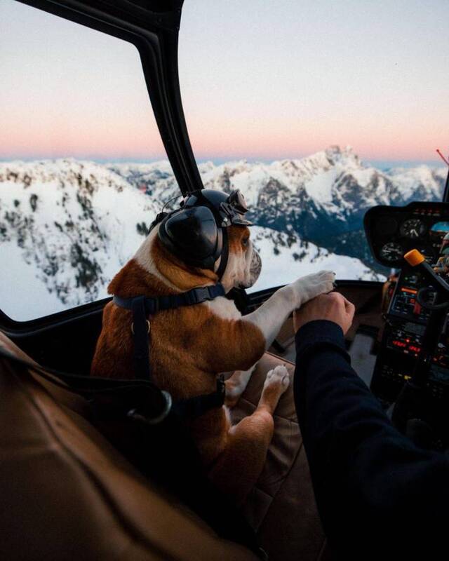 Bildschirmarbeiter - Picdump KW05 2021