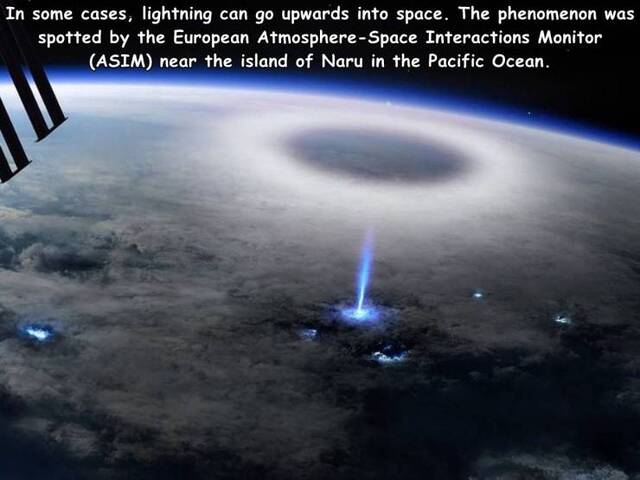 Bildschirmarbeiter - Picdump KW05 2021