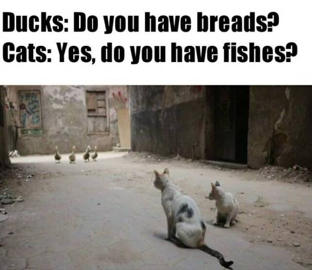 Bildschirmarbeiter - Picdump KW05 2021