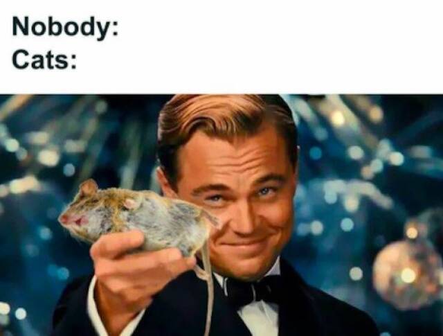 Bildschirmarbeiter - Picdump KW05 2021