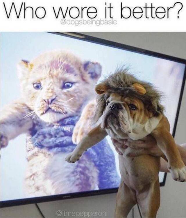 Bildschirmarbeiter - Picdump KW05 2021