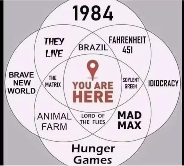 Bildschirmarbeiter - Picdump KW06 2021