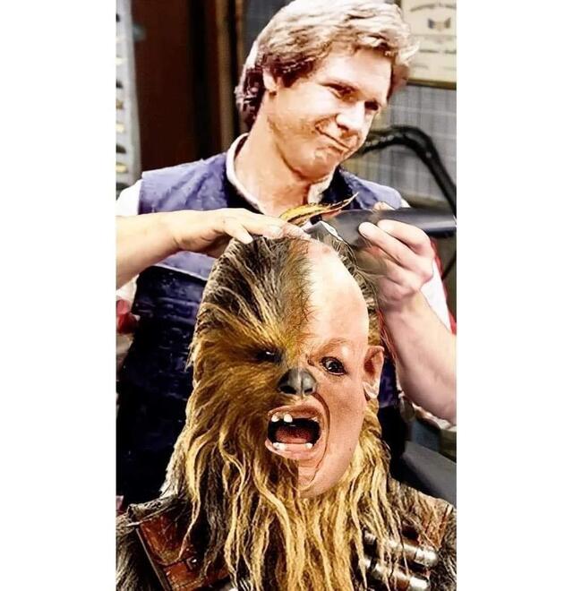 Bildschirmarbeiter - Picdump KW06 2021