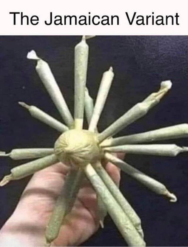 Bildschirmarbeiter - Picdump KW06 2021