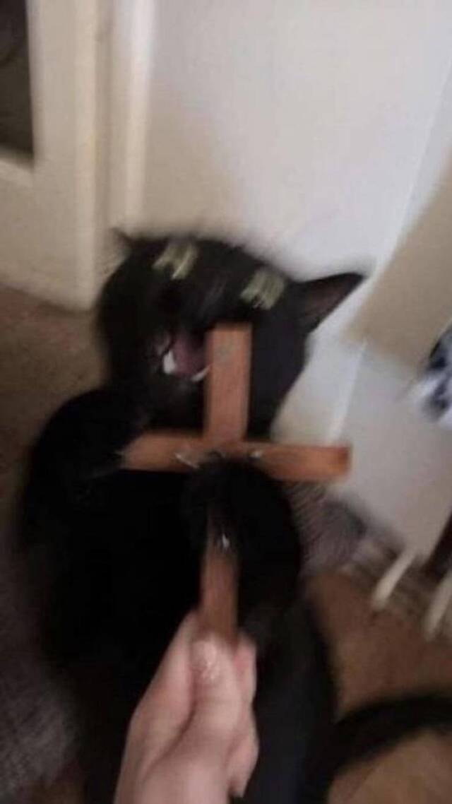 Bildschirmarbeiter - Picdump KW06 2021