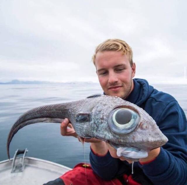 Bildschirmarbeiter - Picdump KW06 2021