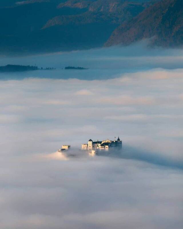 Bildschirmarbeiter - Picdump KW06 2021