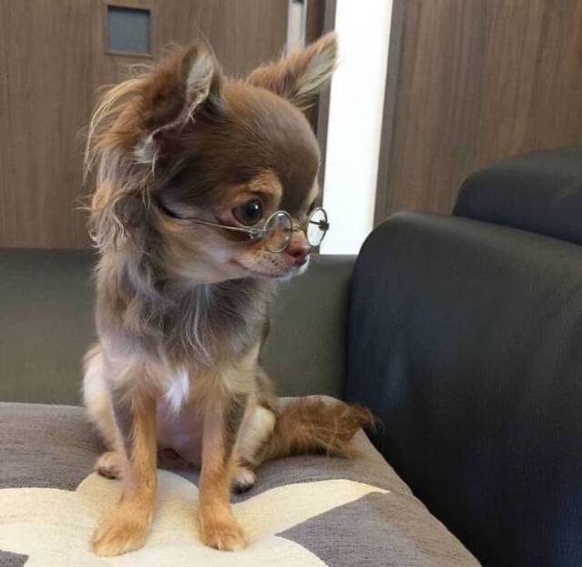 Bildschirmarbeiter - Picdump KW06 2021