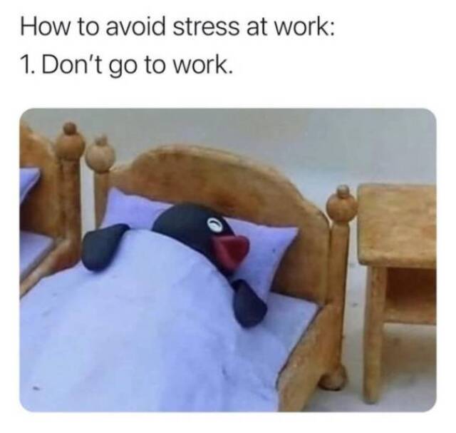 Bildschirmarbeiter - Picdump KW06 2021