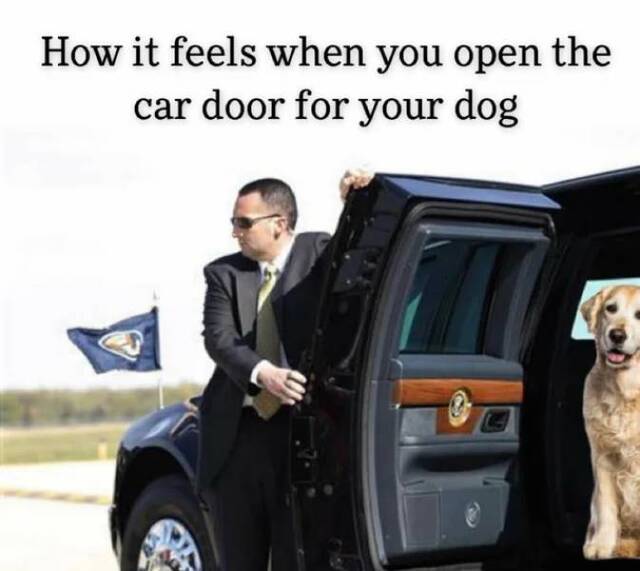 Bildschirmarbeiter - Picdump KW06 2021