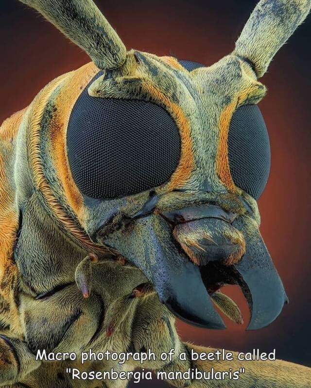 Nachschlag - Bildschirmarbeiter - Picdump KW06 2022