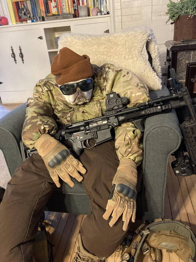 Nachschlag - Bildschirmarbeiter - Picdump KW06 2022