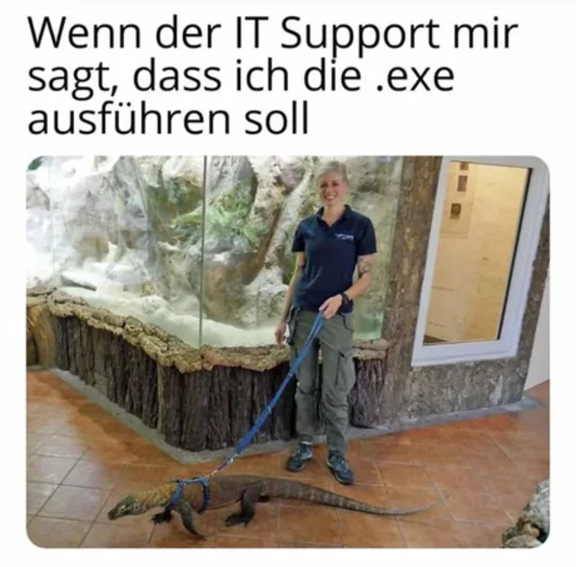 Bildschirmarbeiter - Picdump KW07 2021