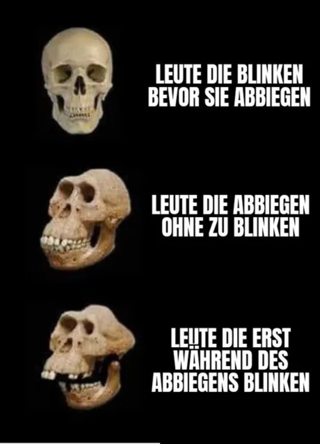 Bildschirmarbeiter - Picdump KW07 2021