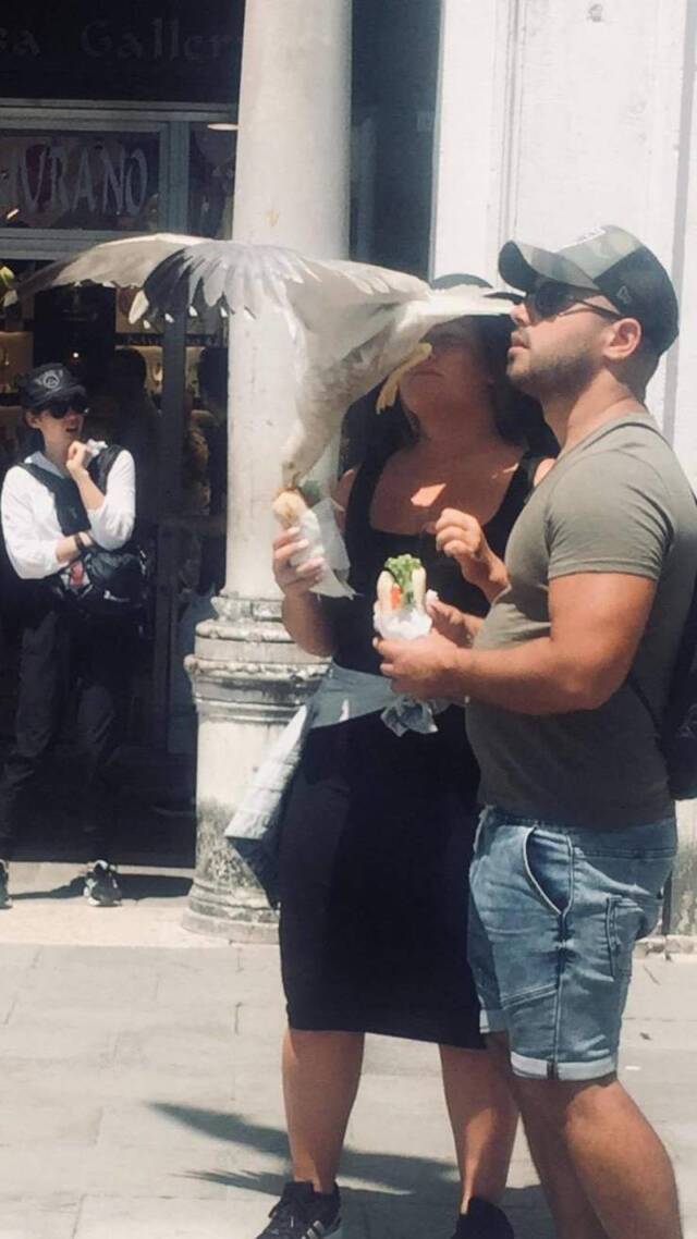 Bildschirmarbeiter - Picdump KW07 2021