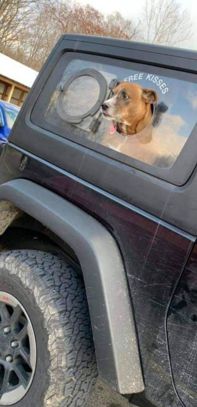 Bildschirmarbeiter - Picdump KW07 2021