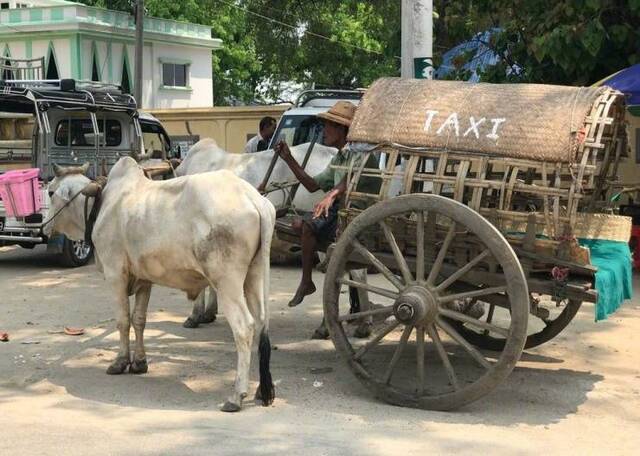 Bildschirmarbeiter - Picdump KW07 2021