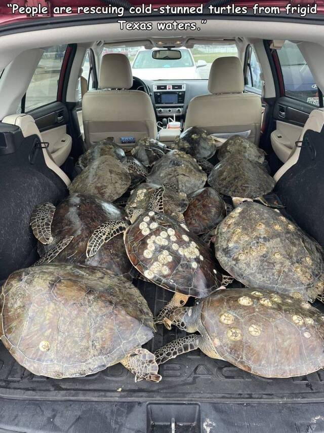 Bildschirmarbeiter - Picdump KW07 2021