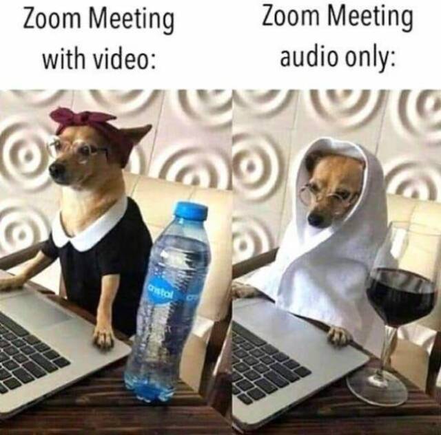 Bildschirmarbeiter - Picdump KW07 2021