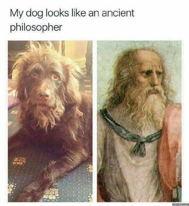 Bildschirmarbeiter - Picdump KW07 2021