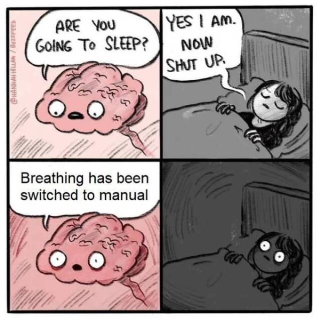 Bildschirmarbeiter - Picdump KW07 2021