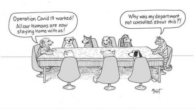 Bildschirmarbeiter - Picdump KW07 2021