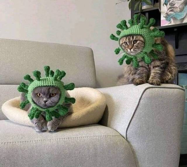 Bildschirmarbeiter - Picdump KW07 2021