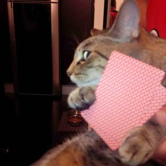 Bildschirmarbeiter - Picdump KW07 2021