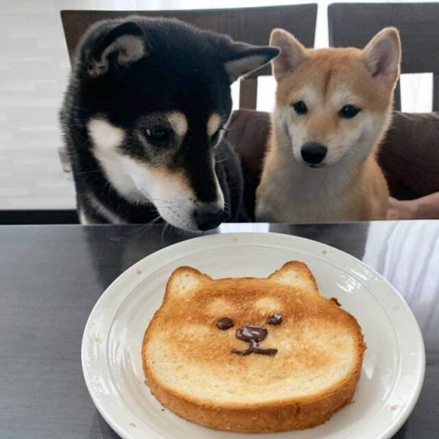 Bildschirmarbeiter - Picdump KW07 2021