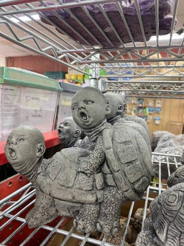 Bildschirmarbeiter - Picdump KW07 2021