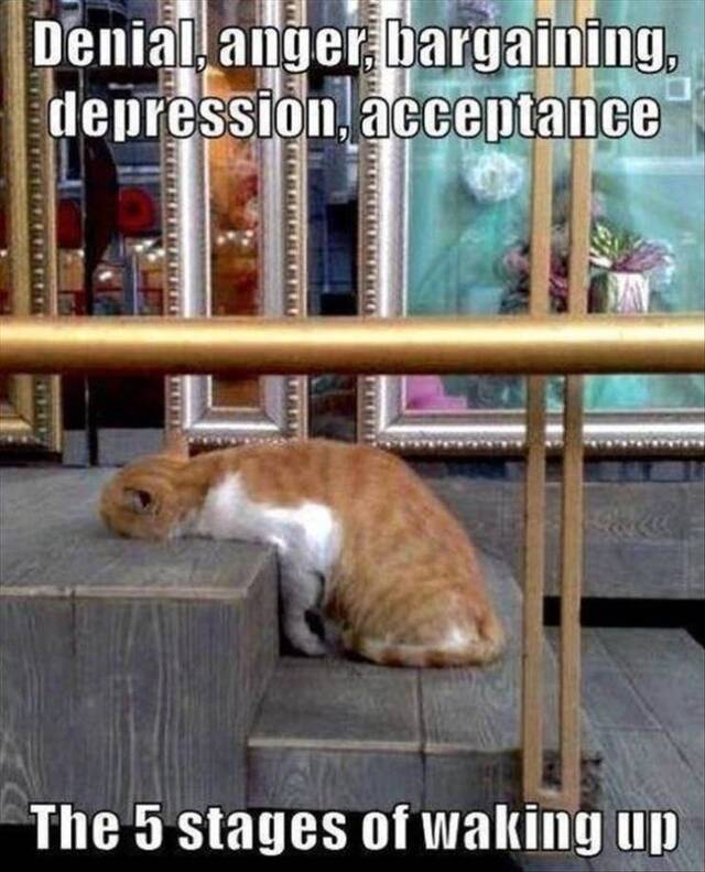 Nachschlag - Bildschirmarbeiter - Picdump KW08 2022