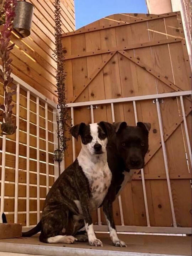 Nachschlag - Bildschirmarbeiter - Picdump KW08 2022