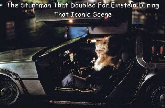 Nachschlag - Bildschirmarbeiter - Picdump KW08 2022