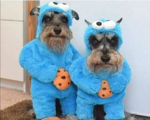 Nachschlag - Bildschirmarbeiter - Picdump KW08 2022