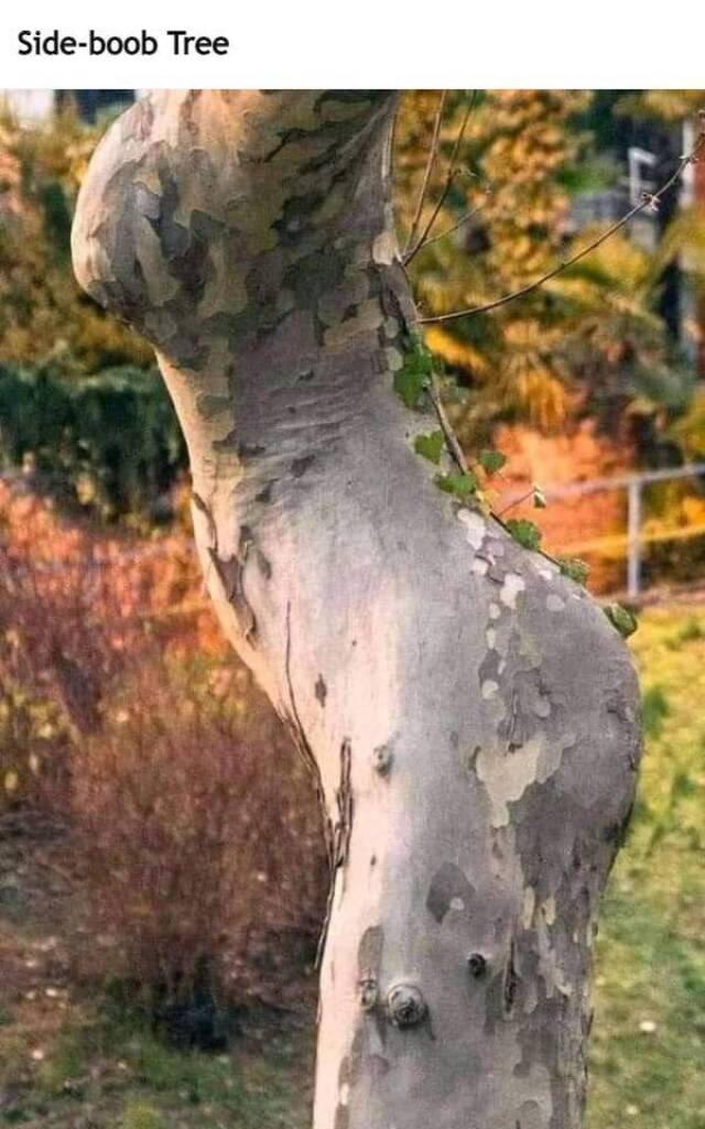 Nachschlag - Bildschirmarbeiter - Picdump KW08 2022