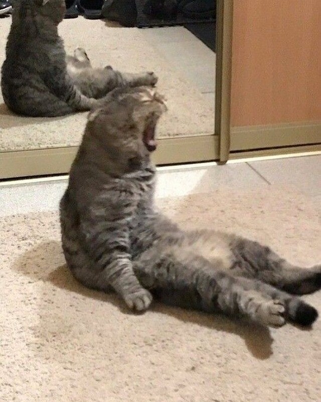 Nachschlag - Bildschirmarbeiter - Picdump KW08 2022