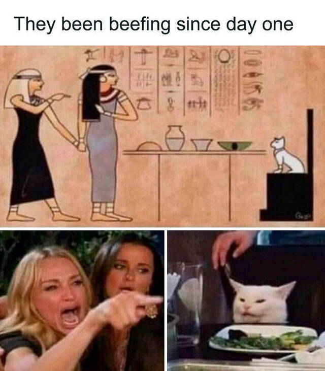 Nachschlag - Bildschirmarbeiter - Picdump KW08 2022