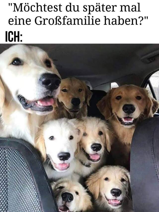 Bildschirmarbeiter - Picdump KW08 2022