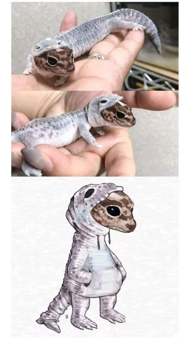 Bildschirmarbeiter - Picdump KW08 2022