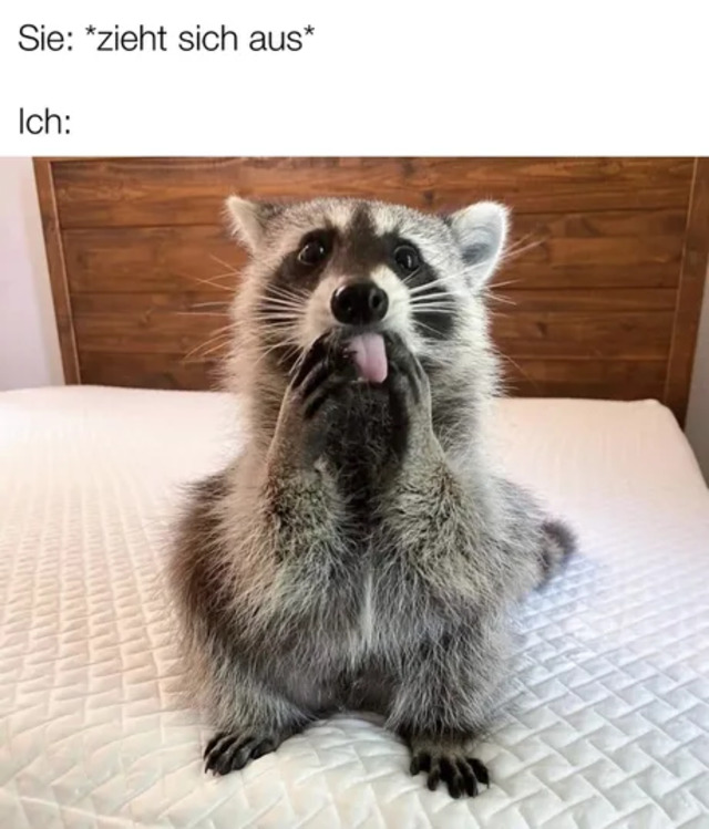 Bildschirmarbeiter - Picdump KW08 2022