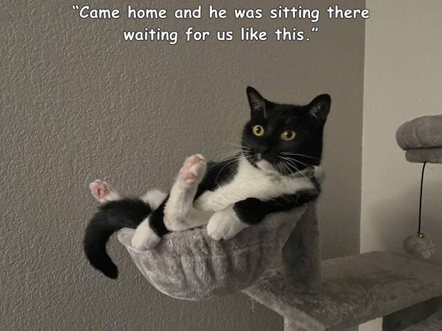 Bildschirmarbeiter - Picdump KW08 2022